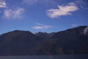 FIORDLAND-NATIONAL-PARK-2019 (207)
